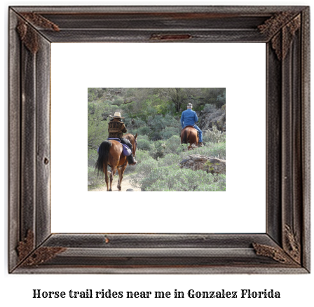 horse trail rides near me in Gonzalez, Florida